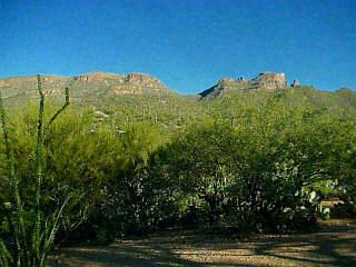 9341 East Ravine Trail Tucson, AZ 85749 - Photo 1 of 2 Gallery Image 1
