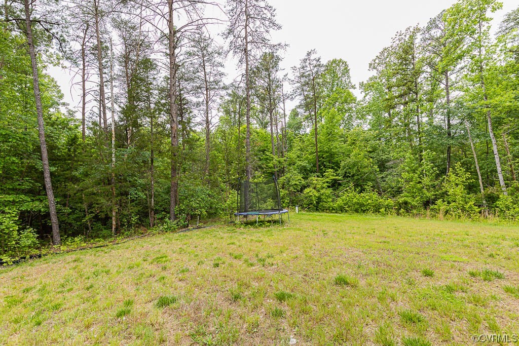 4111 Cedar Plains Road Sandy Hook, VA 23153 - Photo 25 of 28 a view of an outdoor space and a yard