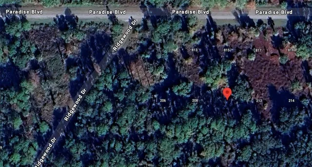 a view of a bunch of trees