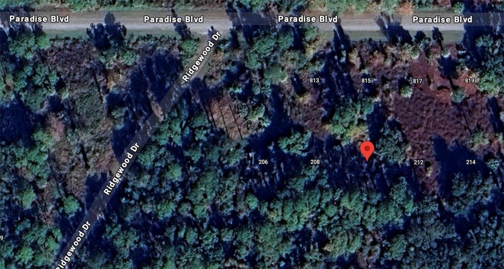 210 Edgewood Drive Georgetown, FL 32139 - Photo 2 of 2 a view of a bunch of trees