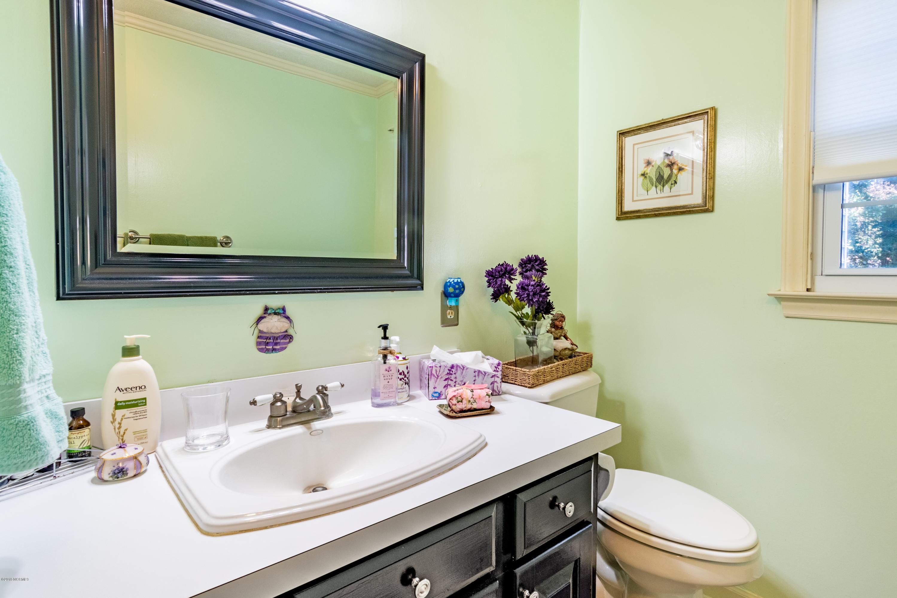 106 Lawson Road Washington, NC 27889 - Photo 24 of 33 024 Guest Bath 2