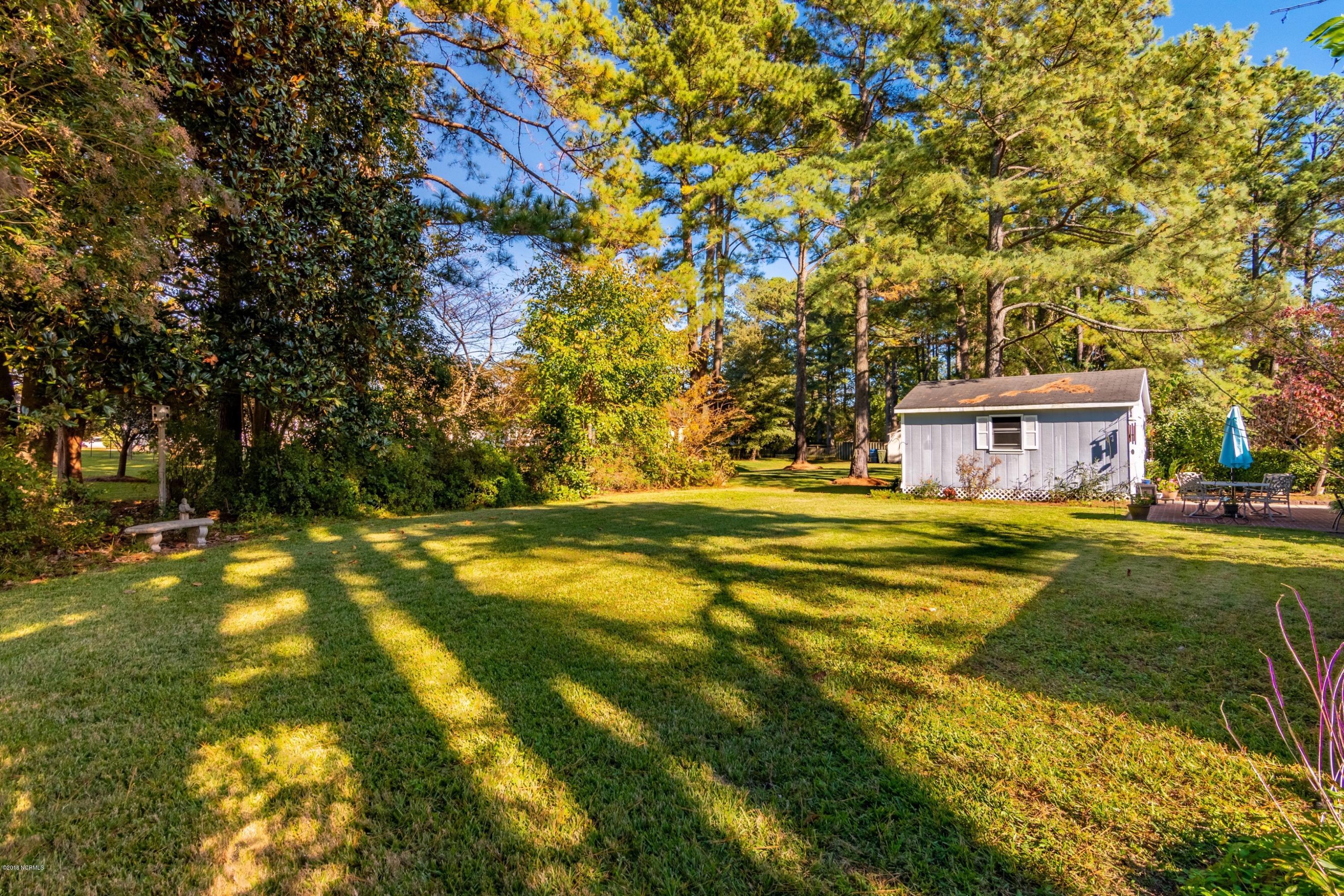 106 Lawson Road Washington, NC 27889 - Photo 29 of 33 029 Big Back Yard