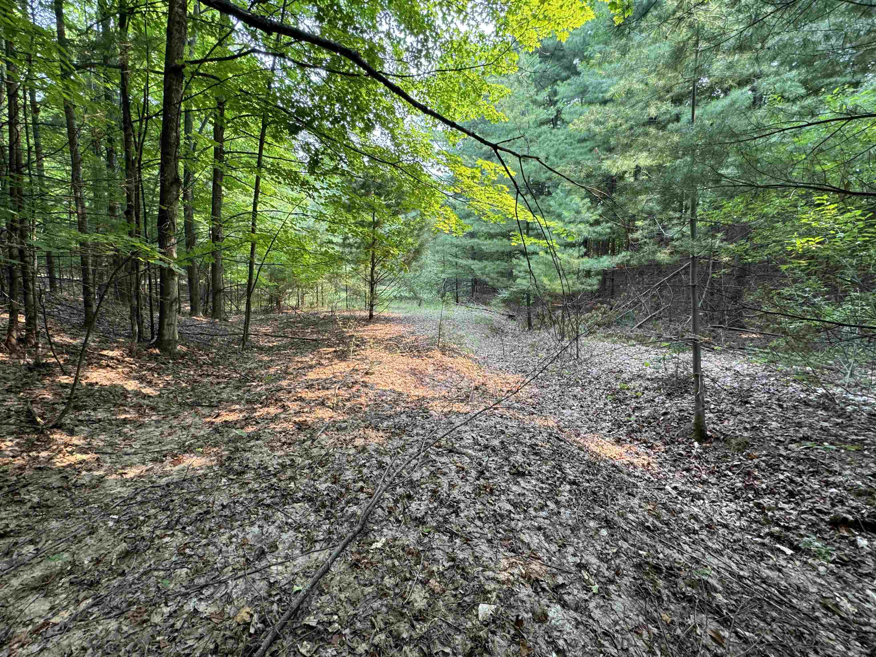 Lot #4 East Bellinger Road, Unit BELLINGER ESTATES Cedar, MI 49621 - Photo 14 of 27