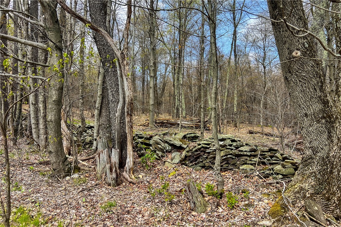 Lot 3 Brownell Road Bloomville, NY 13739 - Photo 15 of 35