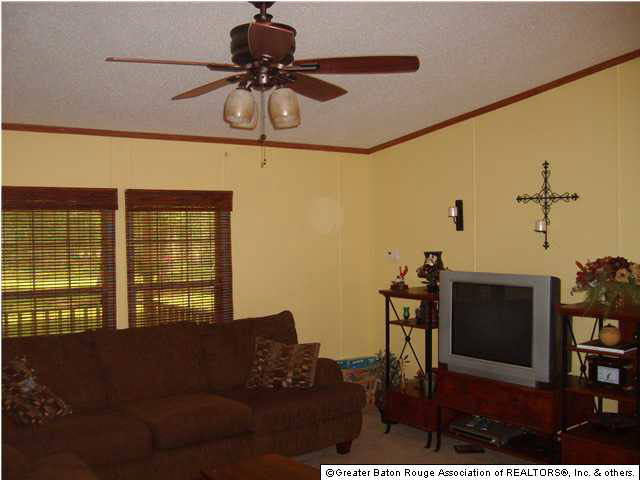 21412 Judge Smiley Road Livingston, LA 70754 - Photo 5 of 12 Gallery Image 5