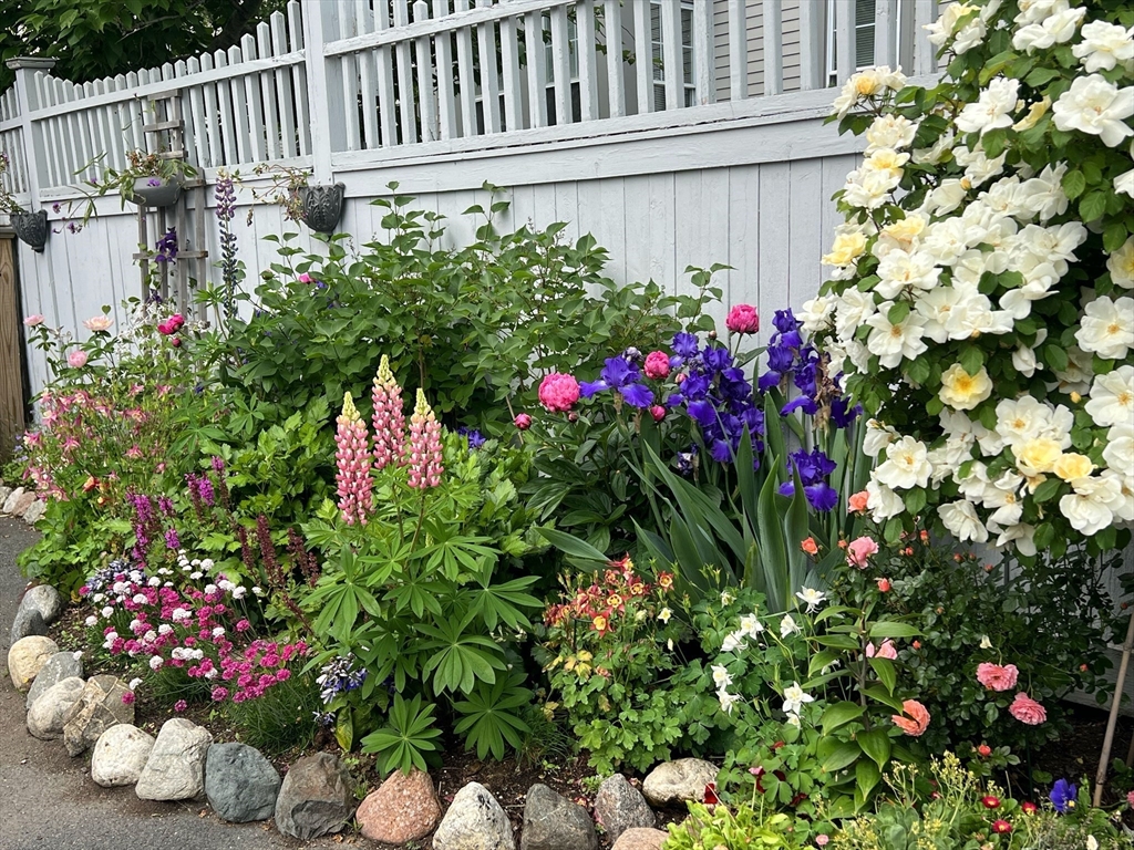 70 Webb Street Salem, MA 01970 - Photo 32 of 35 Gallery Image 32