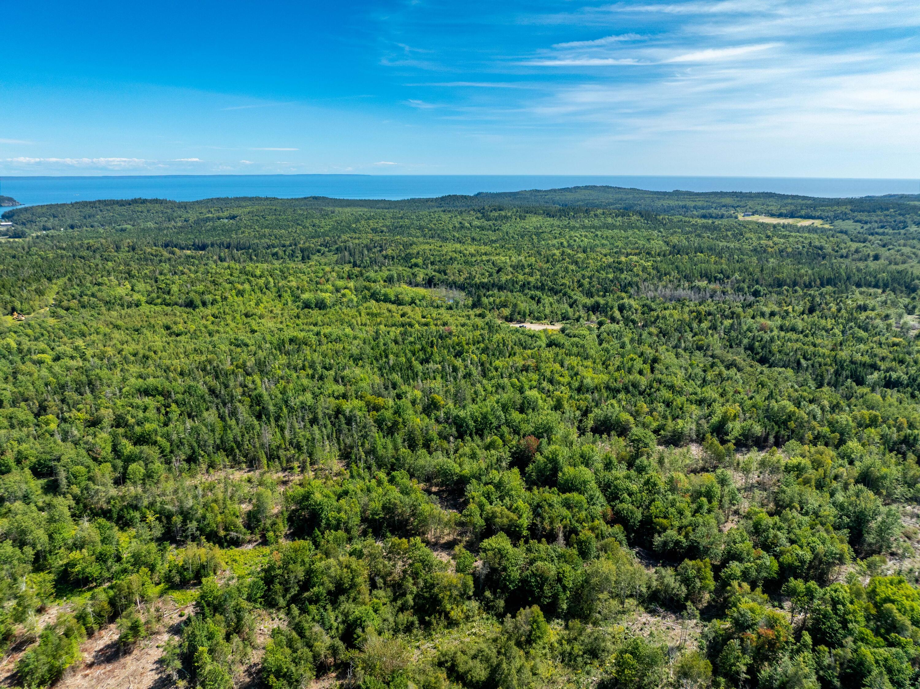 2 Map Lubec, ME 04652 - Photo 19 of 79 530+- acres Trescott Twp Maine (14 of 80