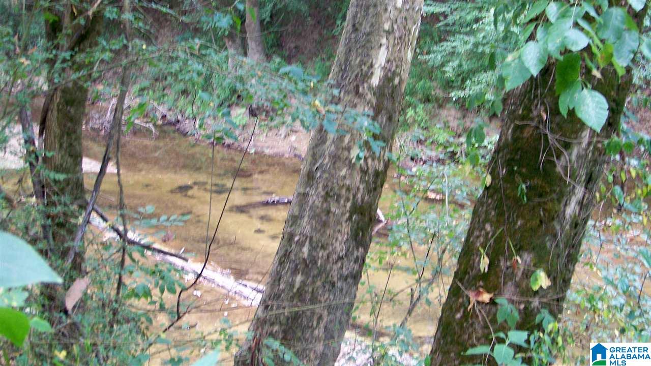 Hanson Road, Unit 33 Horton, AL 35980 - Photo 2 of 9