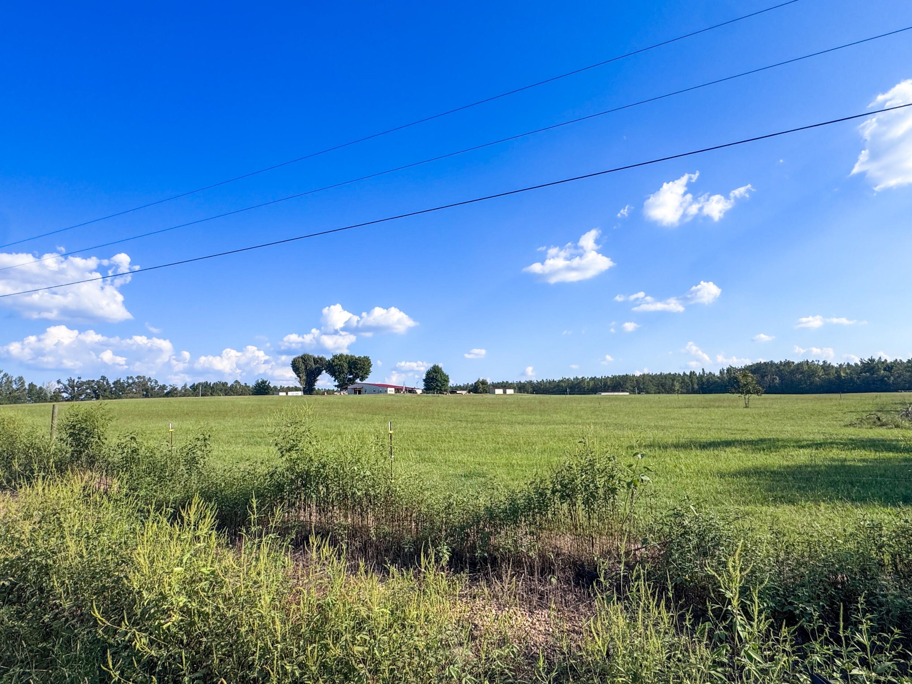 Coleman Road Thaxton, MS 38871 - Photo 5 of 7 Gallery Image 5