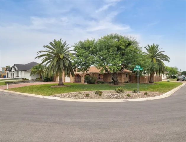 a palm tree sitting in front of a house with a yard