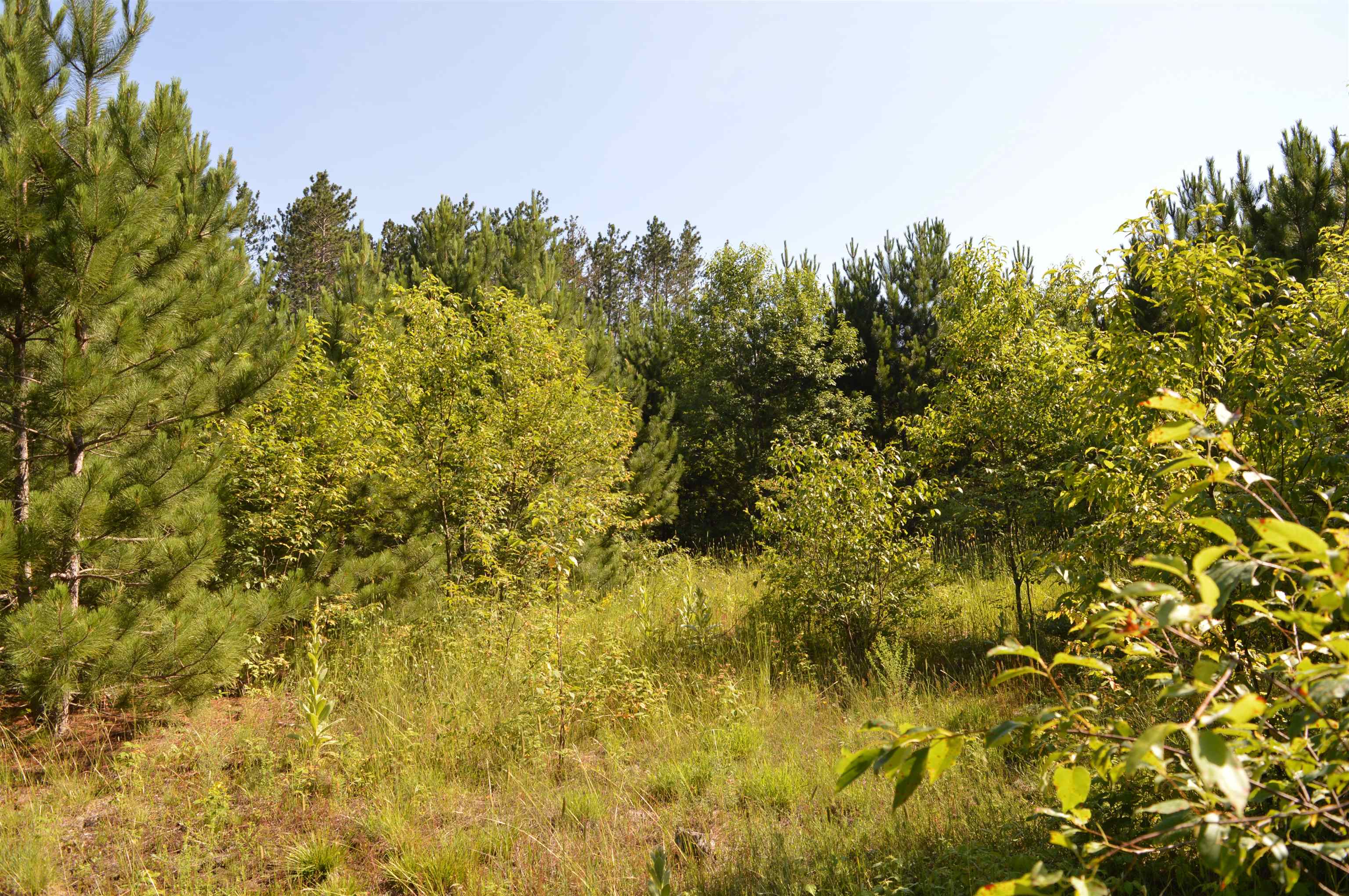 Northeast Holly Road, Unit LOT: A Kalkaska, MI 49646 - Photo 17 of 27