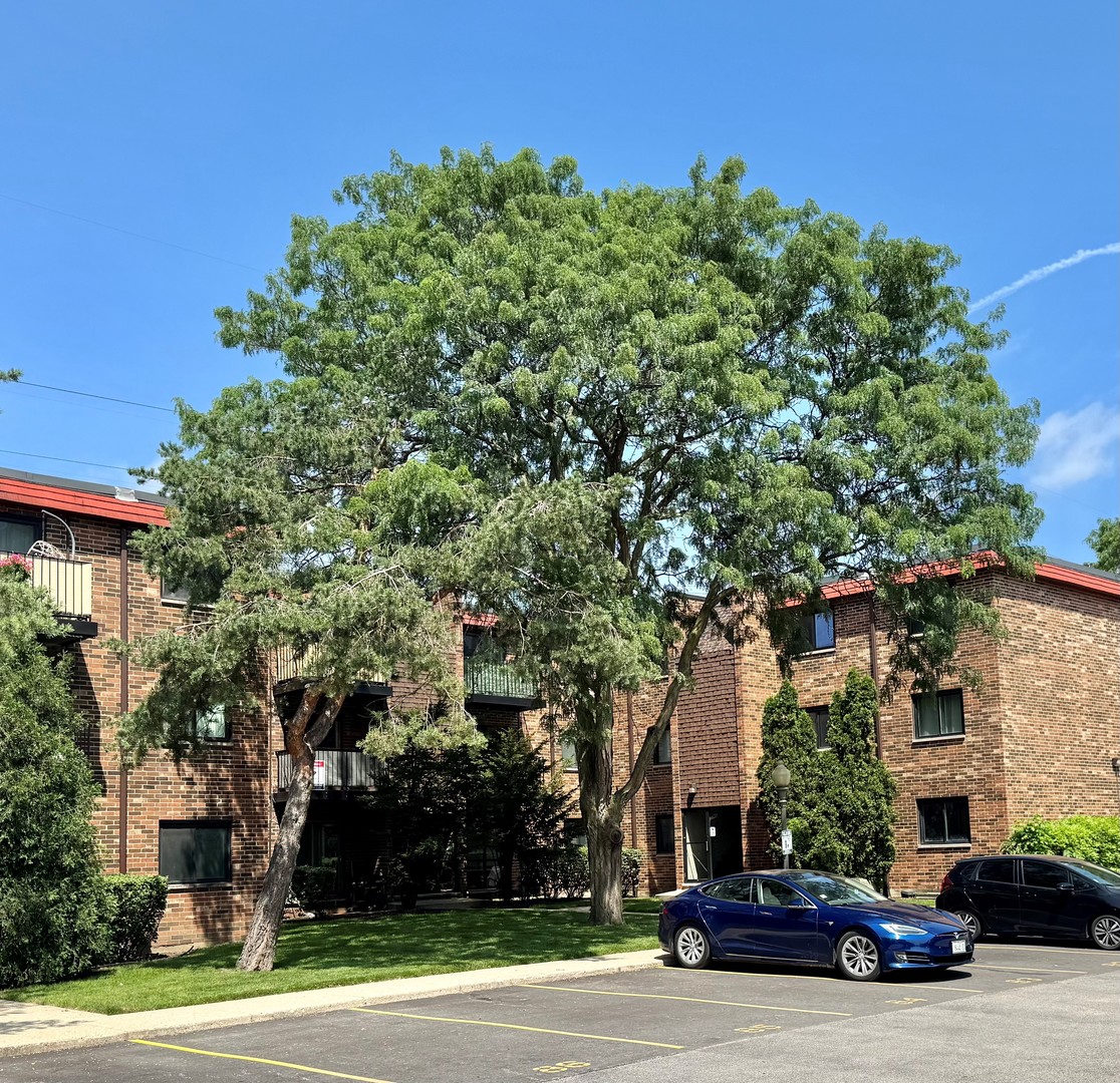 1787 West Algonquin Road, Unit 2A Mount Prospect, IL 60056 - Photo 35 of 39