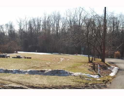 116 Nike Road Coraopolis, PA 15108 - Photo 14 of 17 Yard/Garden. This is the common area located at the end of the street. This can be used by anyone that lives on Nike Road... Pond and walking woods located behind common area.