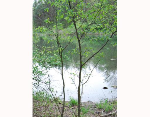 116 Nike Road Coraopolis, PA 15108 - Photo 15 of 17 Other. Pond! Great for fishing! Dogs love it back here, too.
