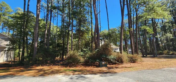 $10,000 | 525 Dingy Court, Unit 525, Greenbackville, VA 23356