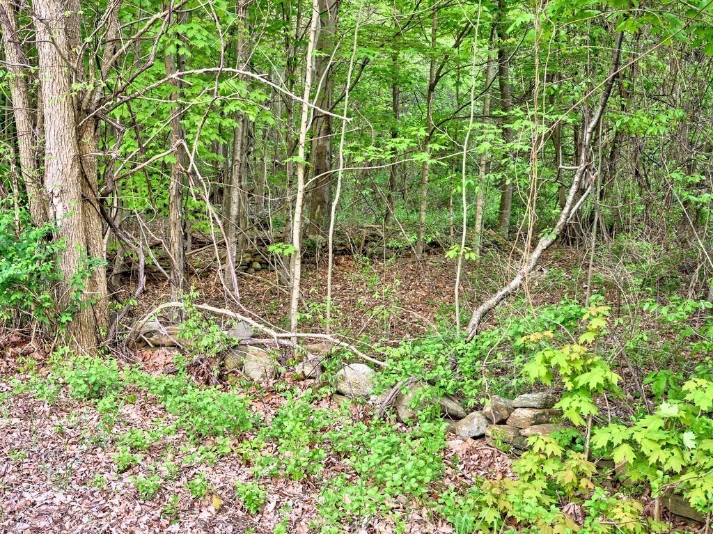 0 East Hill Road Monson, MA 01057 - Photo 13 of 23