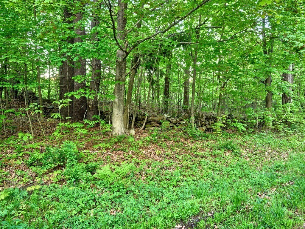 0 East Hill Road Monson, MA 01057 - Photo 15 of 23