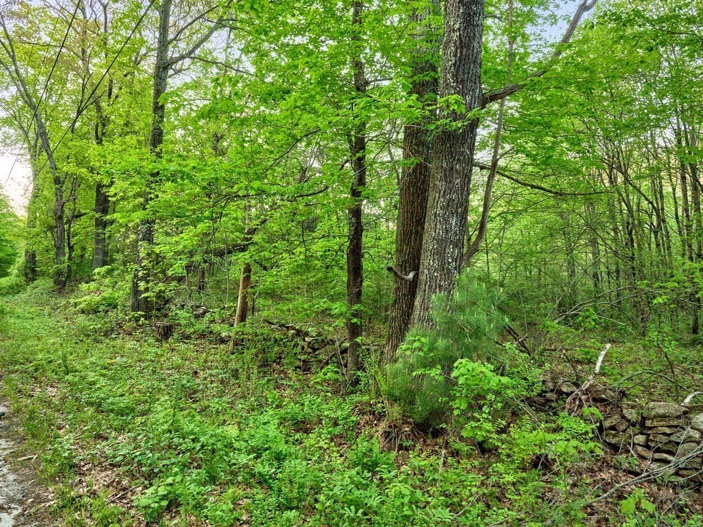 0 East Hill Road Monson, MA 01057 - Photo 16 of 23