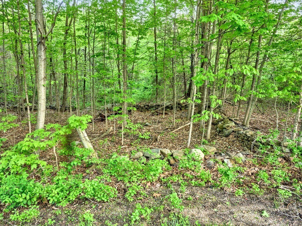 0 East Hill Road Monson, MA 01057 - Photo 2 of 23