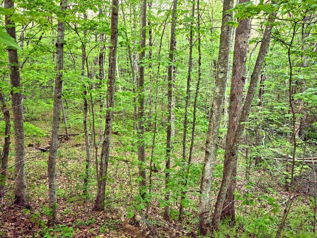 0 East Hill Road Monson, MA 01057 - Photo 9 of 23