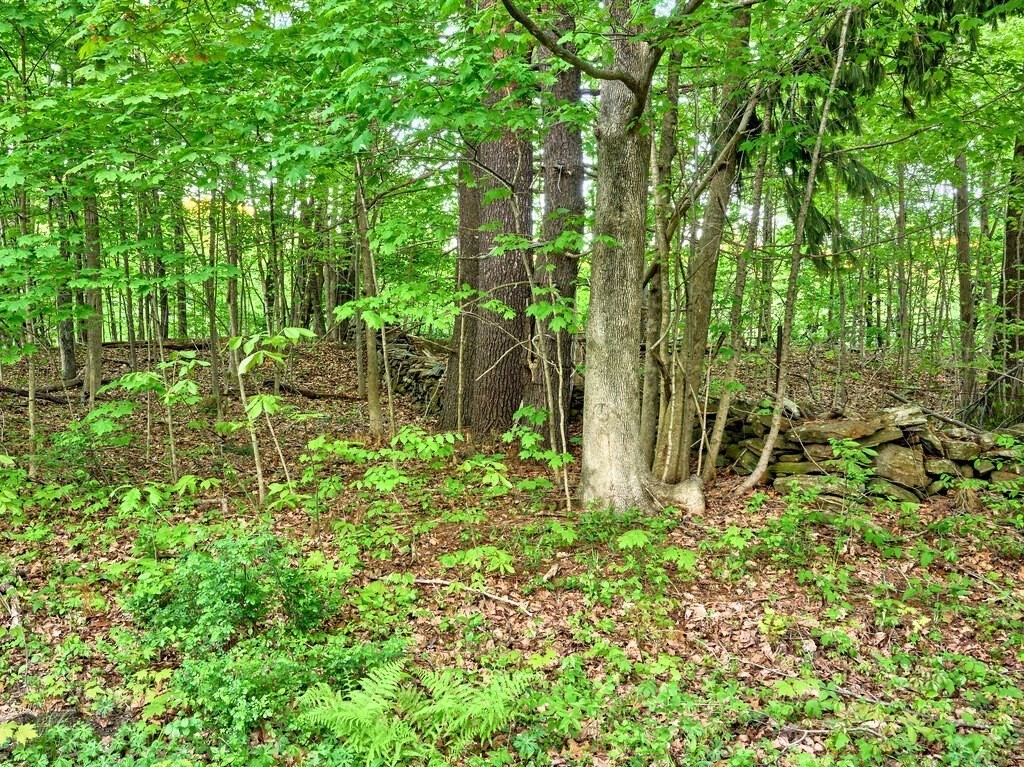 0 East Hill Road Monson, MA 01057 - Photo 10 of 23