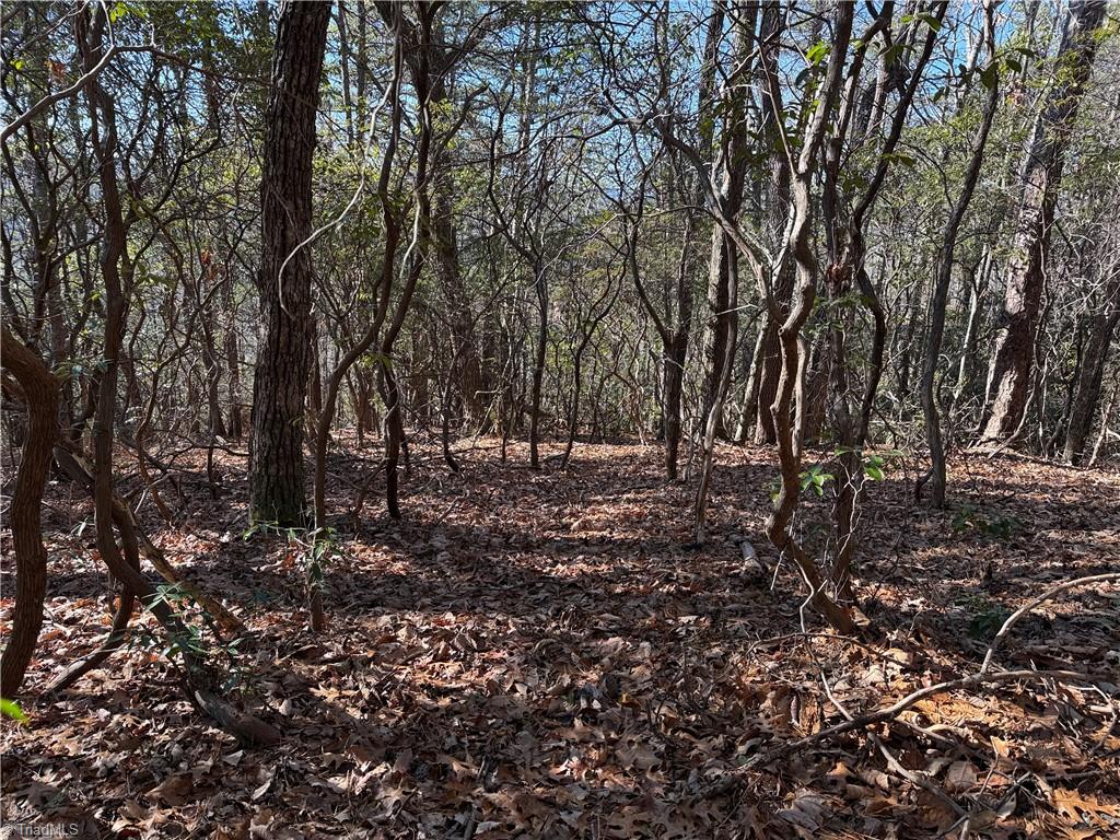 Lot 27 Bobcat Mountain Road Purlear, NC 28665 - Photo 11 of 38 Gallery Image 11