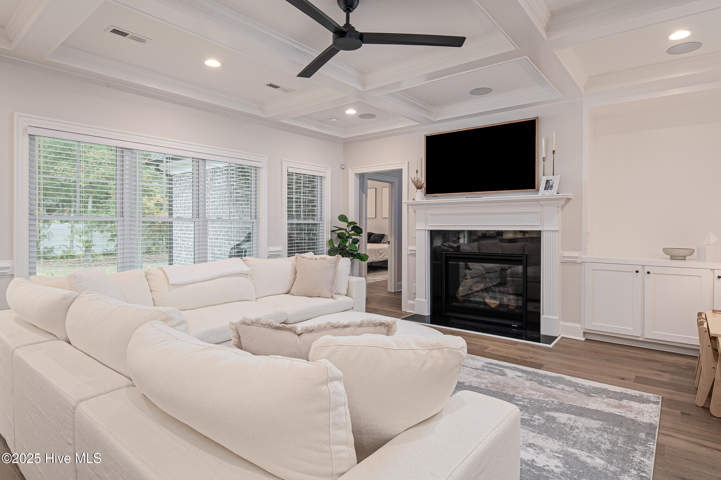 4101 Dunhagan Road Greenville, NC 27858 - Photo 22 of 52 Gas Fireplace
