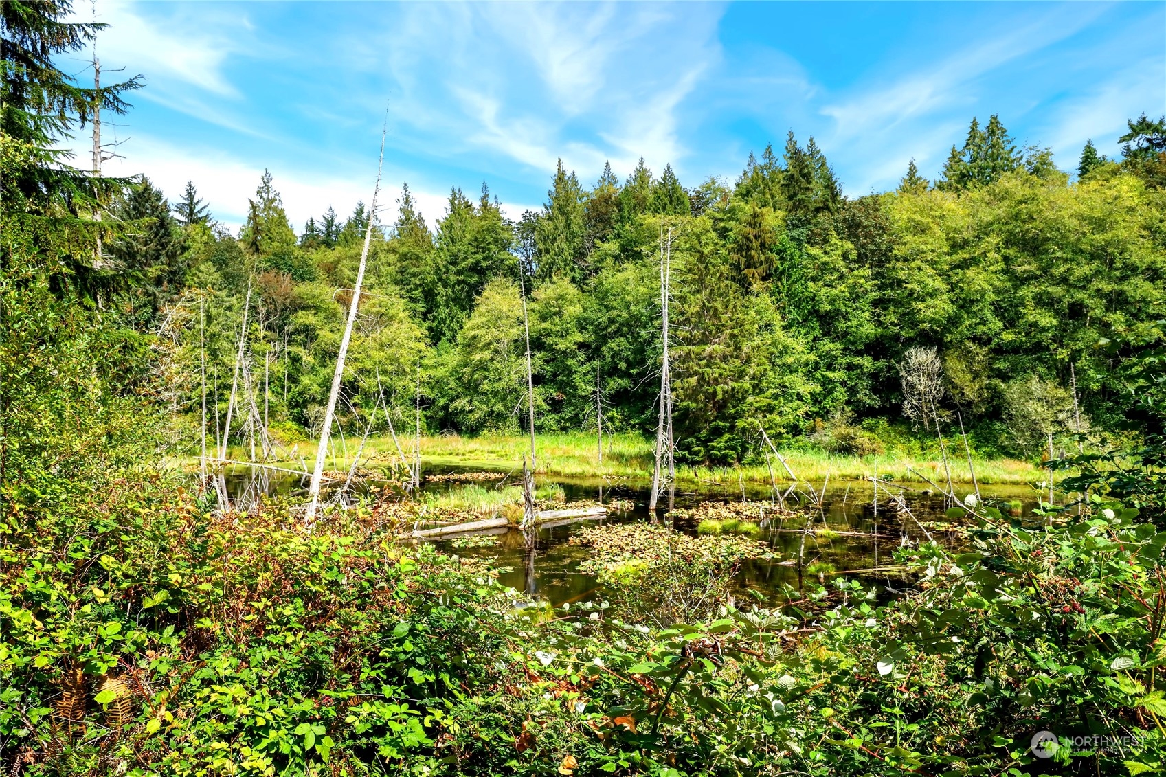 11146 Tulin Road Northeast Kingston, WA 98346 - Photo 30 of 40 Gallery Image 30