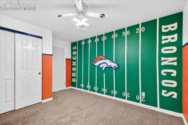 a view of a garden with plants