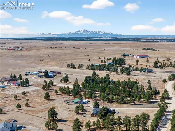 an aerial view of a fireplace with potted plants