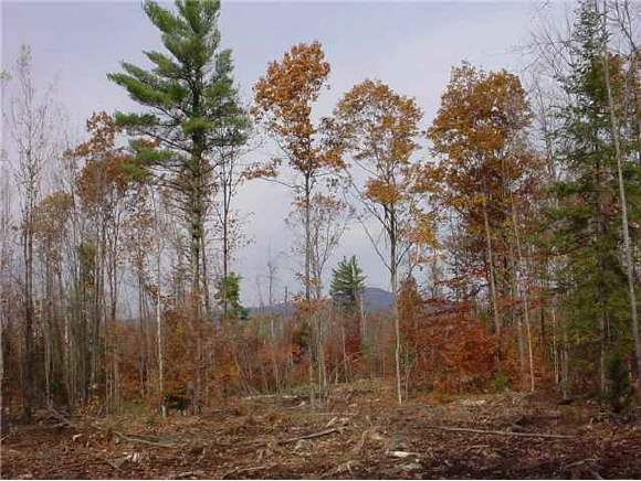 4 North Line Road Tuftonboro, NH 03816 - Photo 1 of 1