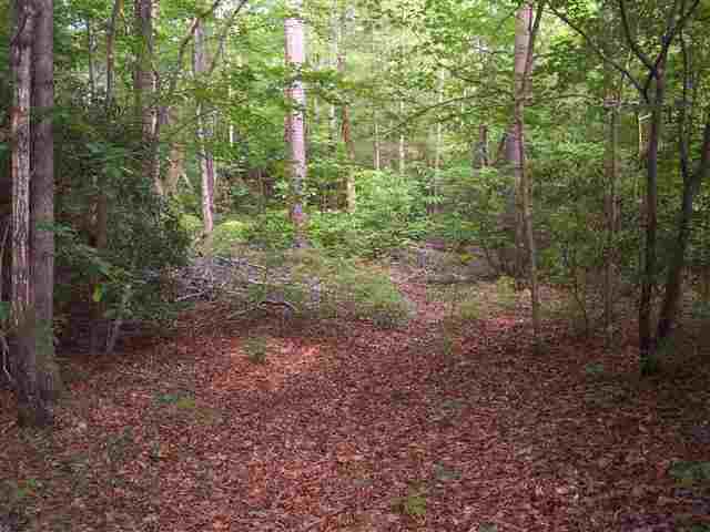 354 Gauley Falls Road Pickens, SC 29671 - Photo 1 of 17 Gallery Image 1