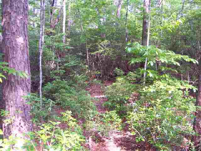 354 Gauley Falls Road Pickens, SC 29671 - Photo 2 of 17 Gallery Image 2