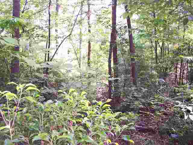 354 Gauley Falls Road Pickens, SC 29671 - Photo 3 of 17 Gallery Image 3