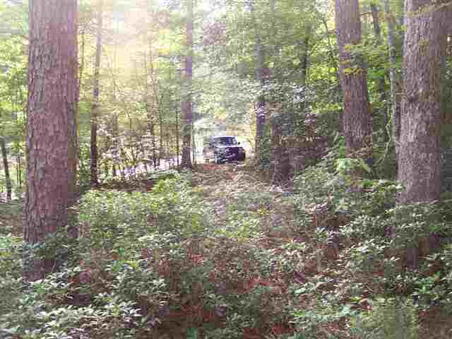 354 Gauley Falls Road Pickens, SC 29671 - Photo 4 of 17 Gallery Image 4
