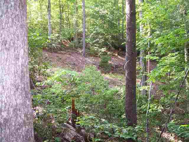 354 Gauley Falls Road Pickens, SC 29671 - Photo 5 of 17 Gallery Image 5