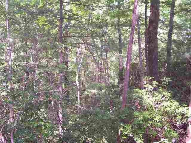 354 Gauley Falls Road Pickens, SC 29671 - Photo 6 of 17 Gallery Image 6