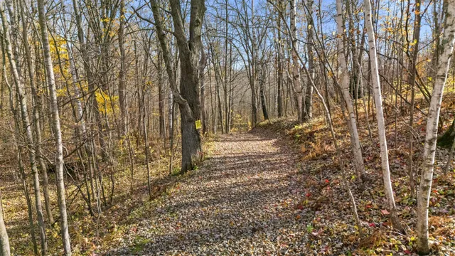 $515,000 | 2828 West River Road, Mora, MN 55051