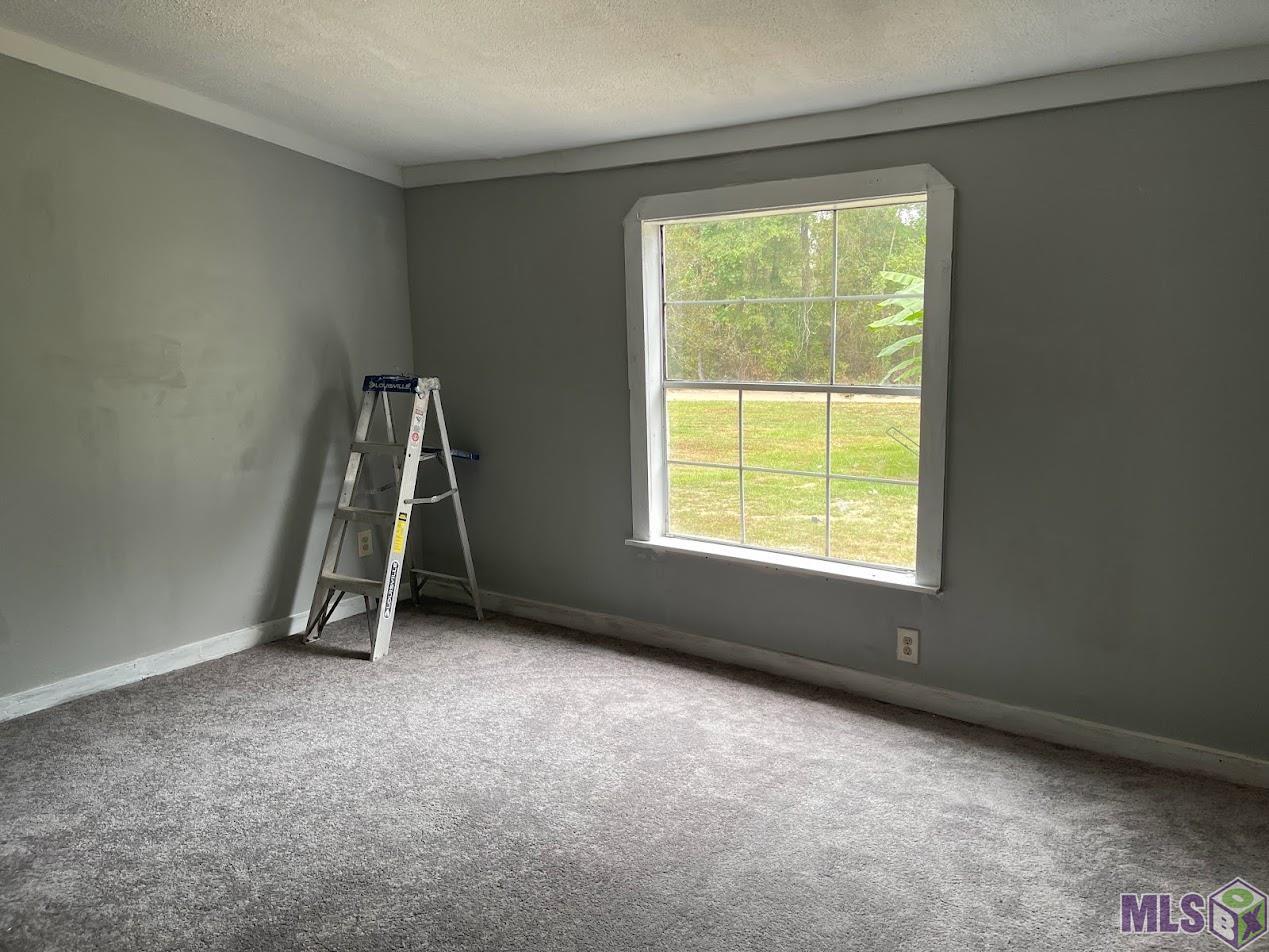 22655 Buck Watts Road Livingston, LA 70754 - Photo 4 of 11 Gallery Image 4