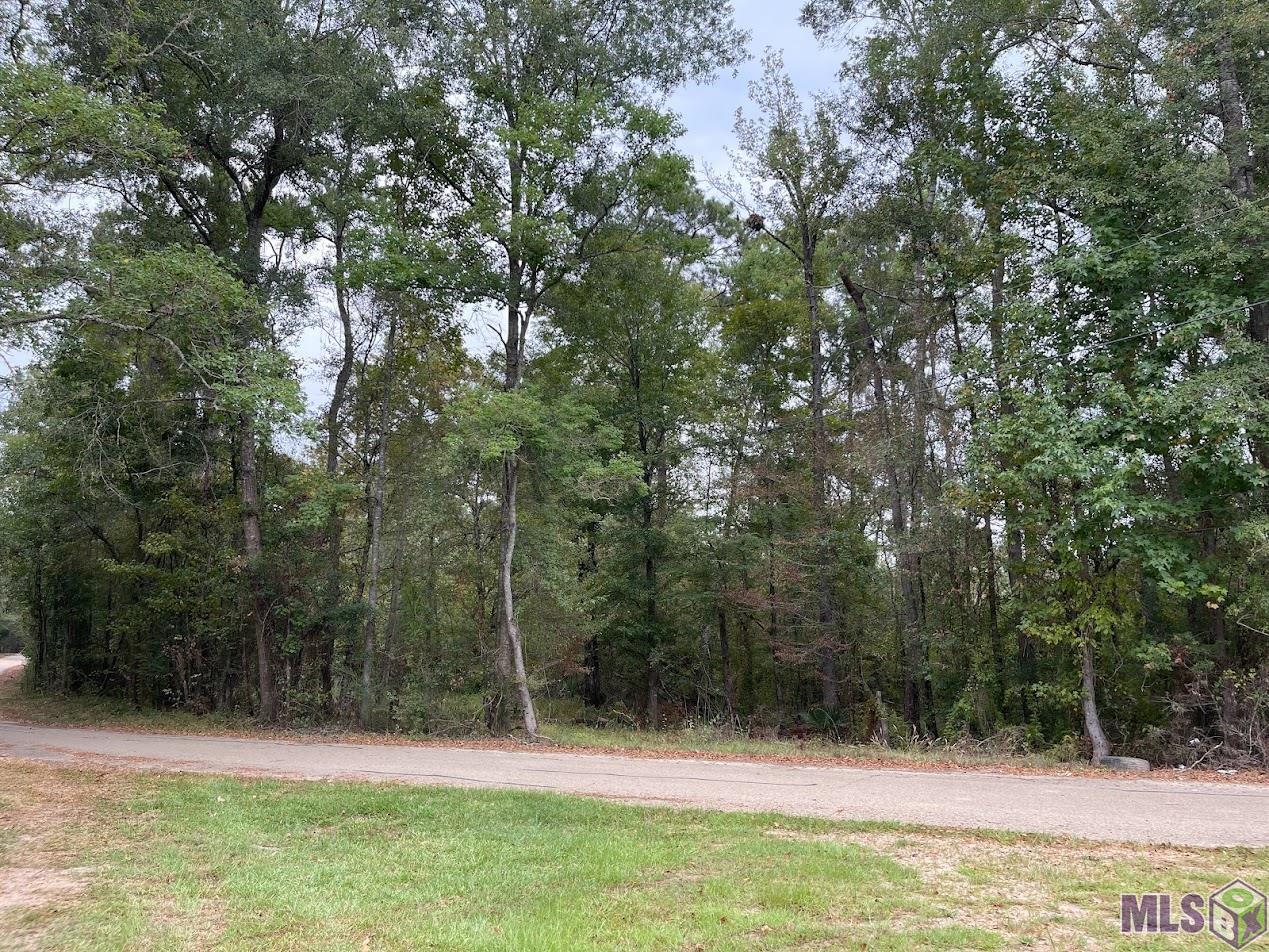 22655 Buck Watts Road Livingston, LA 70754 - Photo 8 of 11 Gallery Image 8