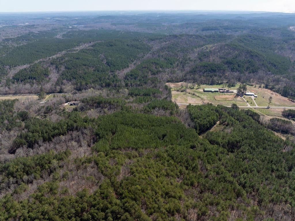 15201 Co Road Carbon Hill, AL 35549 - Photo 31 of 46 Gallery Image 31