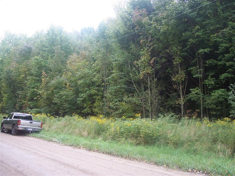 3541 North Schoenherr Road Custer, MI 49405 - Photo 1 of 7 Primary Photo