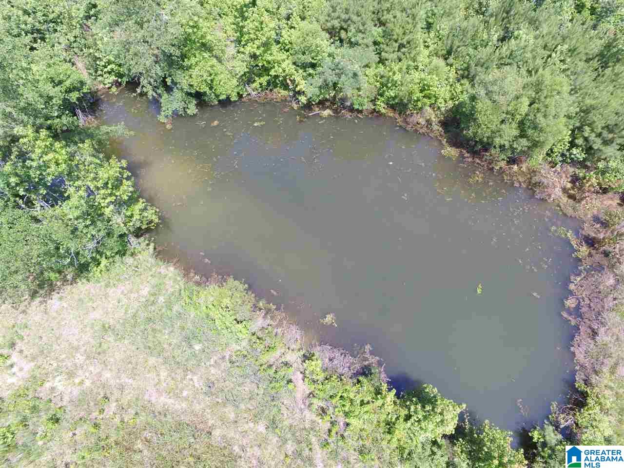 Slasham Road, Unit 10 Ashville, AL 35953 - Photo 6 of 9