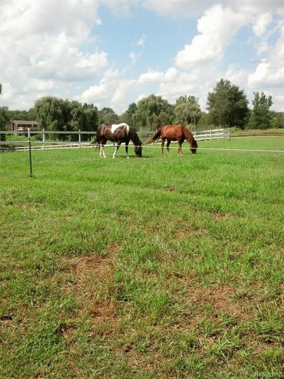 3888 Hogback Road Fowlerville, MI 48836 - Photo 21 of 21