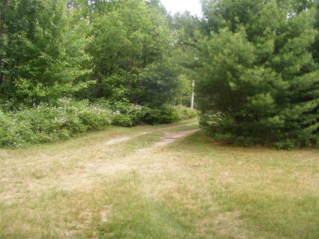 7976 30 3/4 Road Cadillac, MI 49601 - Photo 32 of 33 1848392-31.JPG