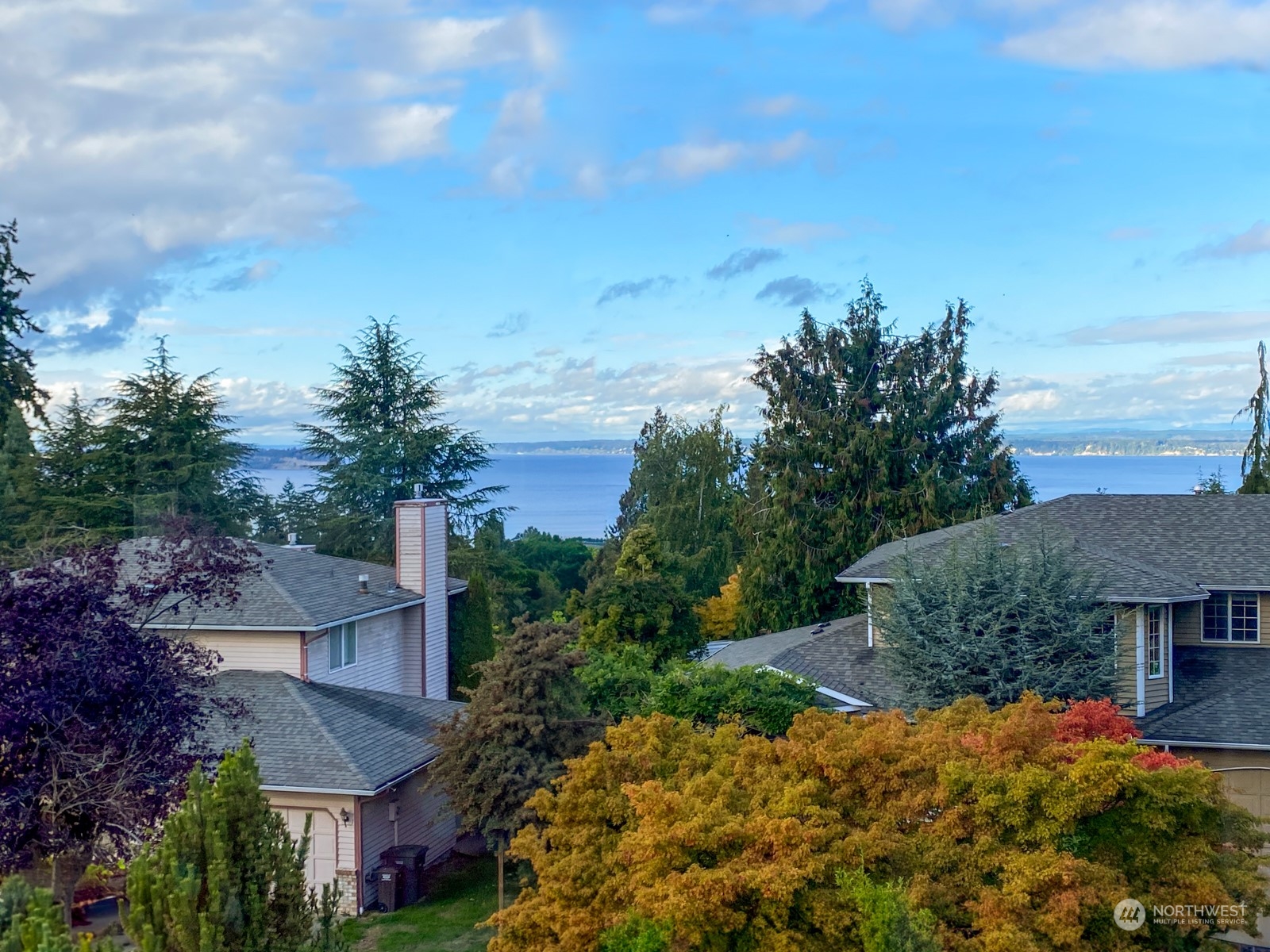 2415 Viewcrest Avenue Everett, WA 98203 - Photo 2 of 37 a view of a house with a yard and potted plants