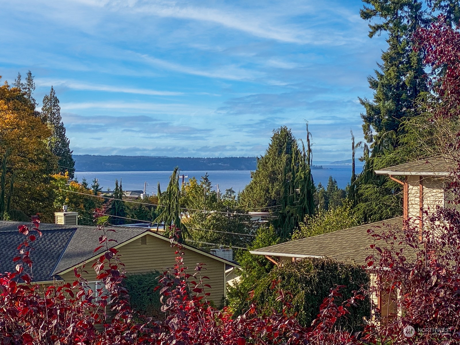 2415 Viewcrest Avenue Everett, WA 98203 - Photo 9 of 37 a view of a garden