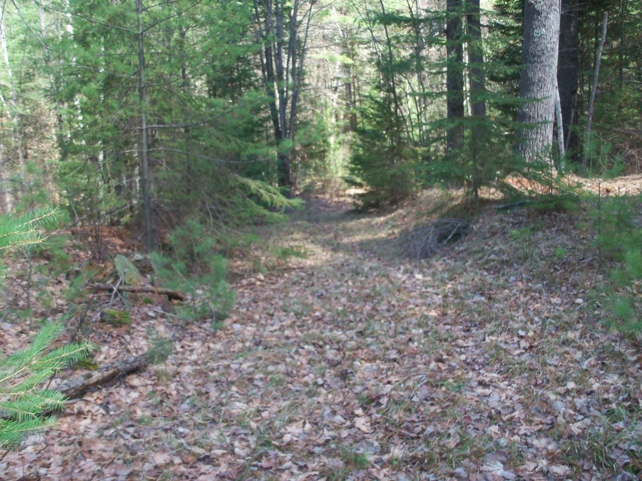 On Eagle Waters Road Tomahawk, WI 54487 - Photo 9 of 19 Gallery Image 9