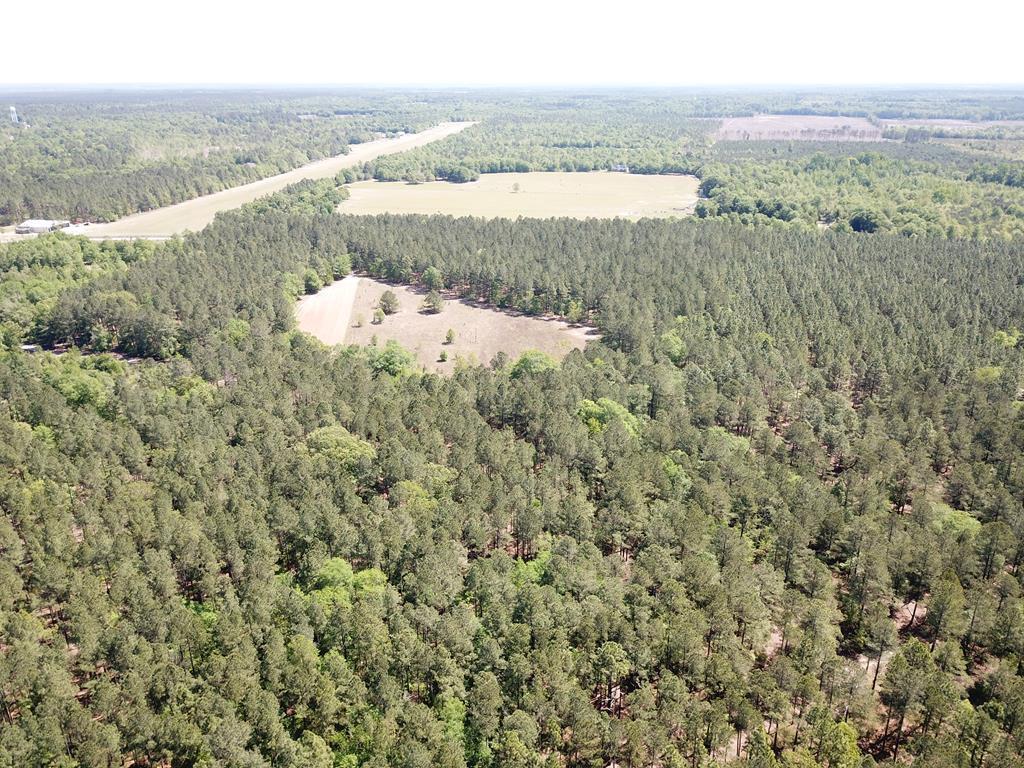 Ernest-johnson Ernest Johnson Road Wagener, SC 29164 - Photo 6 of 6