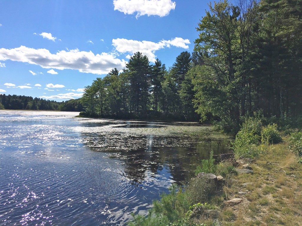 281 State Road Phillipston, MA 01331 - Photo 3 of 3 a view of outdoor space and yard